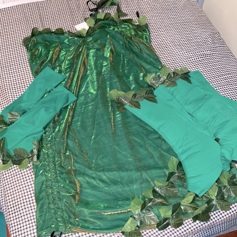 A BEAUTIFUL Poison Ivy costume, great for themed parties, Halloween & etc 💚🥳